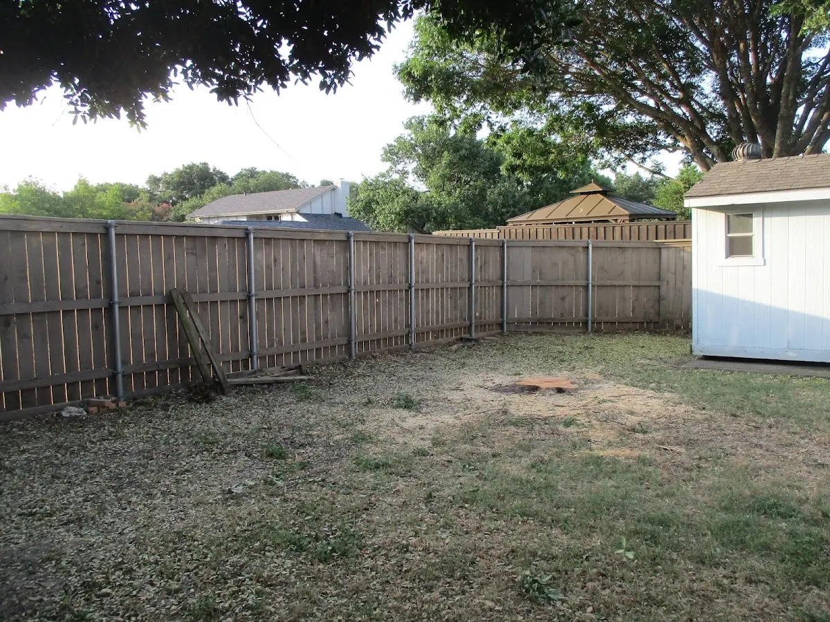 Cleared yard after professional tree removal in Port Sanilac