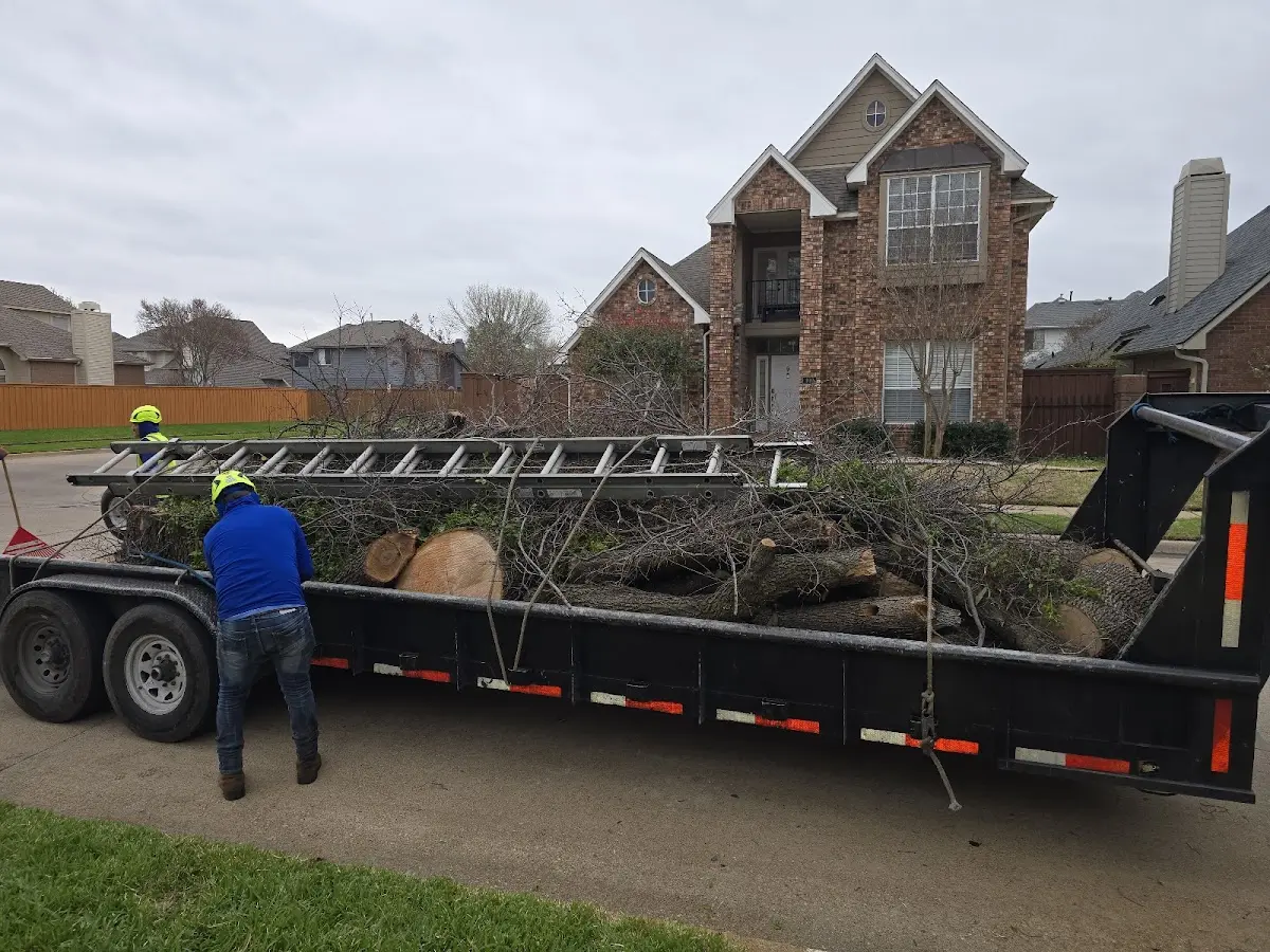 Expert Crown Reduction with proper safety equipment in Port Sanilac